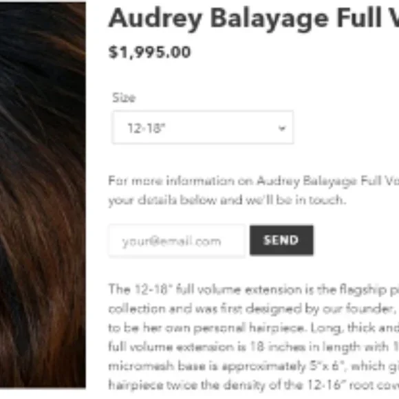 Lauren Ashtyn Luxury Custom European Full Volume Hair Topper 24" - Picture 4 of 7